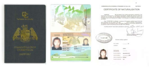 祝贺W女士成功拿到多米尼克护照，实现全球通行自由！