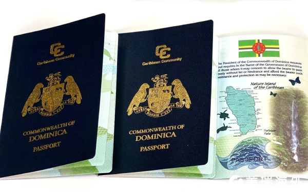 多米尼克护照移民成功案例：Y先生成功拿到多米尼克护照，解决了全球出行问题