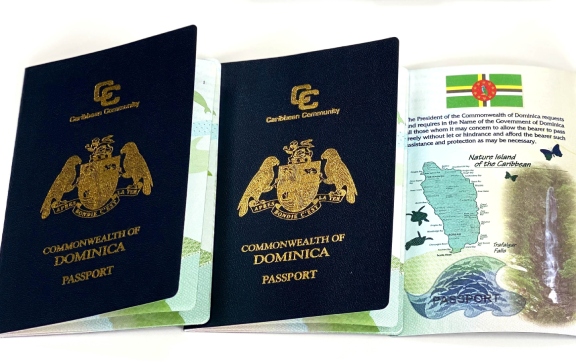 多米尼克护照移民成功案例：Y先生成功拿到多米尼克护照，解决了全球出行问题