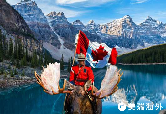 加拿大枫叶卡有什么好处？加拿大枫叶卡的作用！