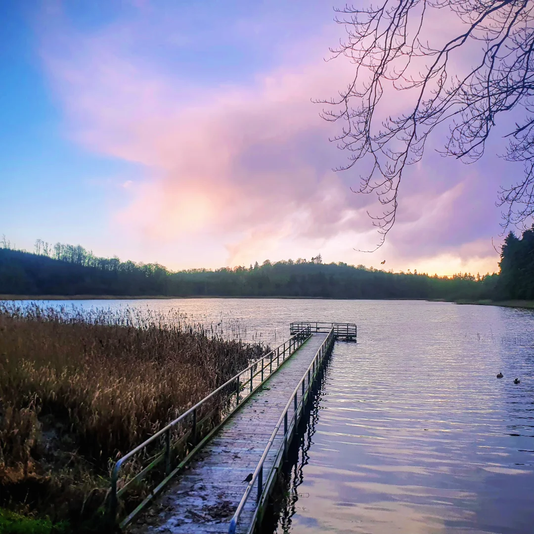 1772159614195794.jpg 1772159614195794.jpg