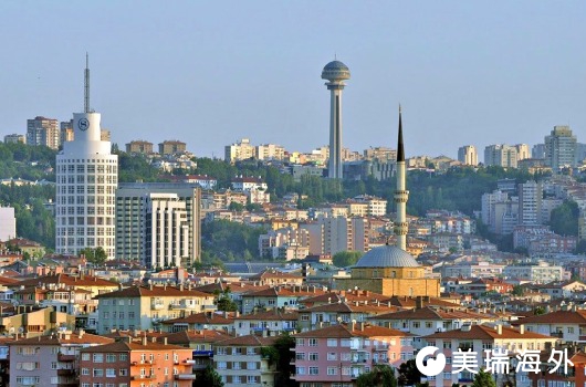 1772162870826081.jpg R-Ctu (1.jpg