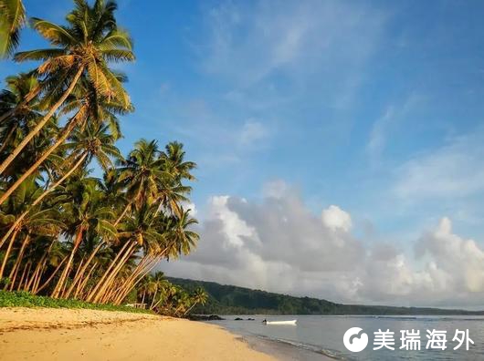 1774580352958403.jpg 11.webp (1).jpg