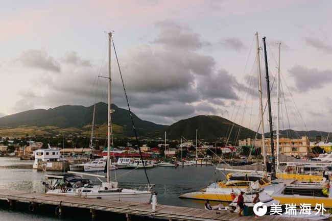 2026圣基茨护照办理机构Top10 实力靠前靠谱机构汇总