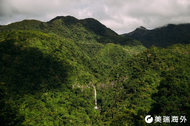 2026多米尼克投资入籍机构排行榜,Top10靠谱机构大盘点