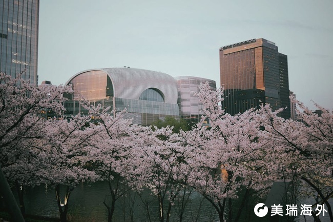 1776148359112764.jpg pexels_28738902.jpg