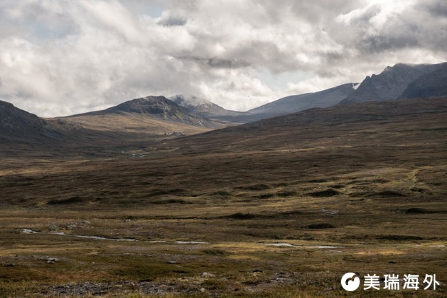 1776234637247863.jpg pexels_8220207.jpg