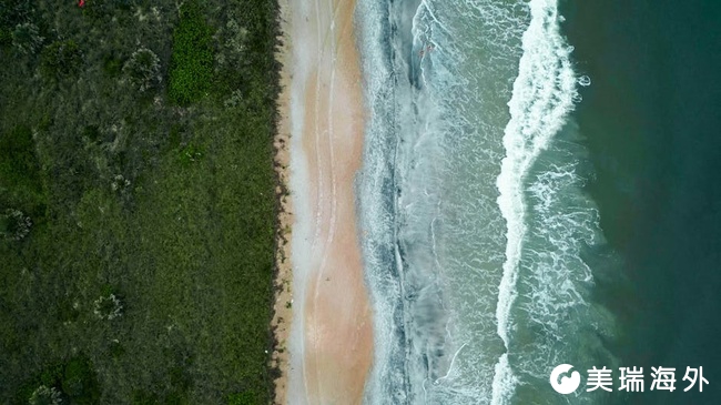 2026圣卢西亚护照办理机构Top10盘点，实力靠谱机构不容错过