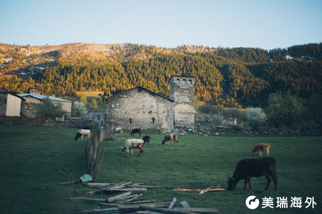 欧盟候选国身份规划：解析格鲁吉亚护照办理机构的专业水准