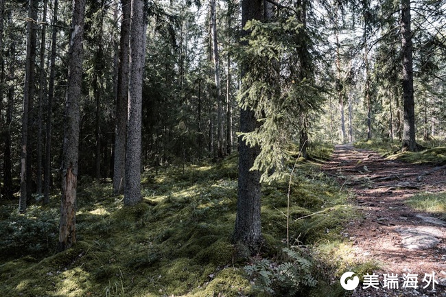芬兰移民常见避坑指南 教你快速辨别虚假宣传不良中介